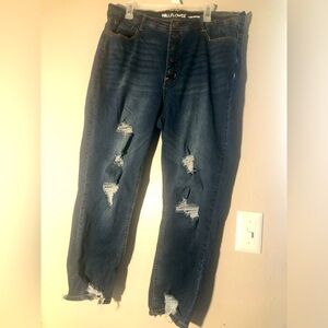 Wallflower Jeans Size 18/ Curvy High Rise, new never worn